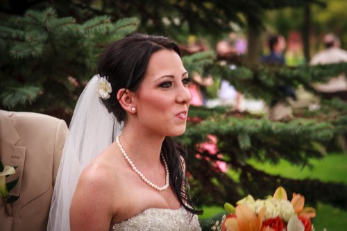 Receiving the guests